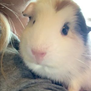 Meet your Posher, Kelsey